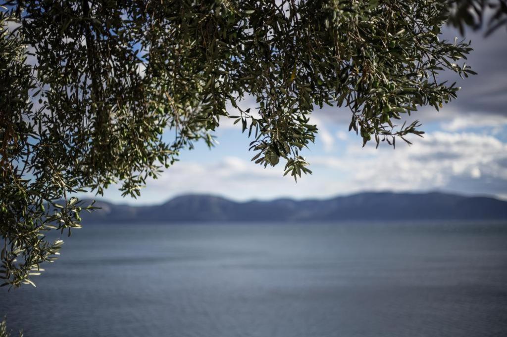 Apartments Ante Podaca Εξωτερικό φωτογραφία