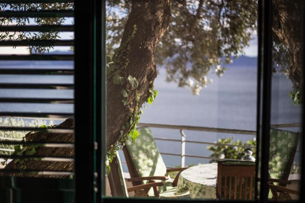 Apartments Ante Podaca Εξωτερικό φωτογραφία